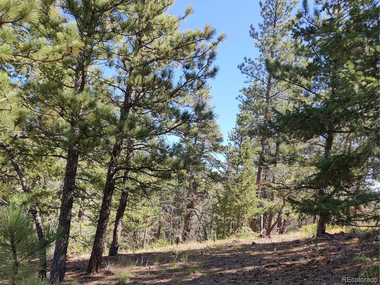 0 Monument Gulch Way - Photo 1