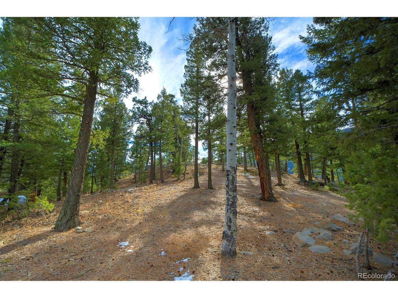 977 Snyder Mountain - Photo 1