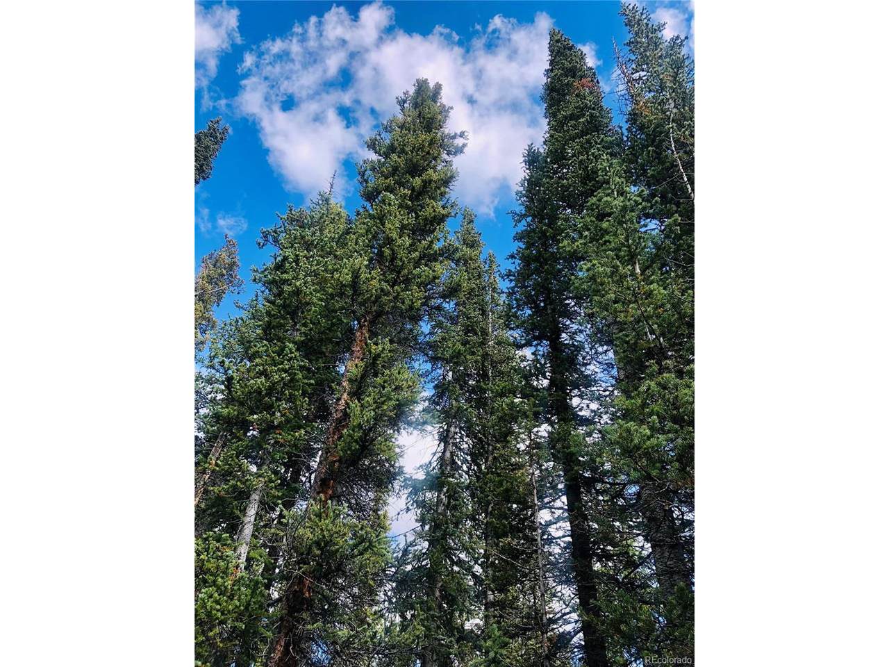550 Porcupine Rd - Photo 1