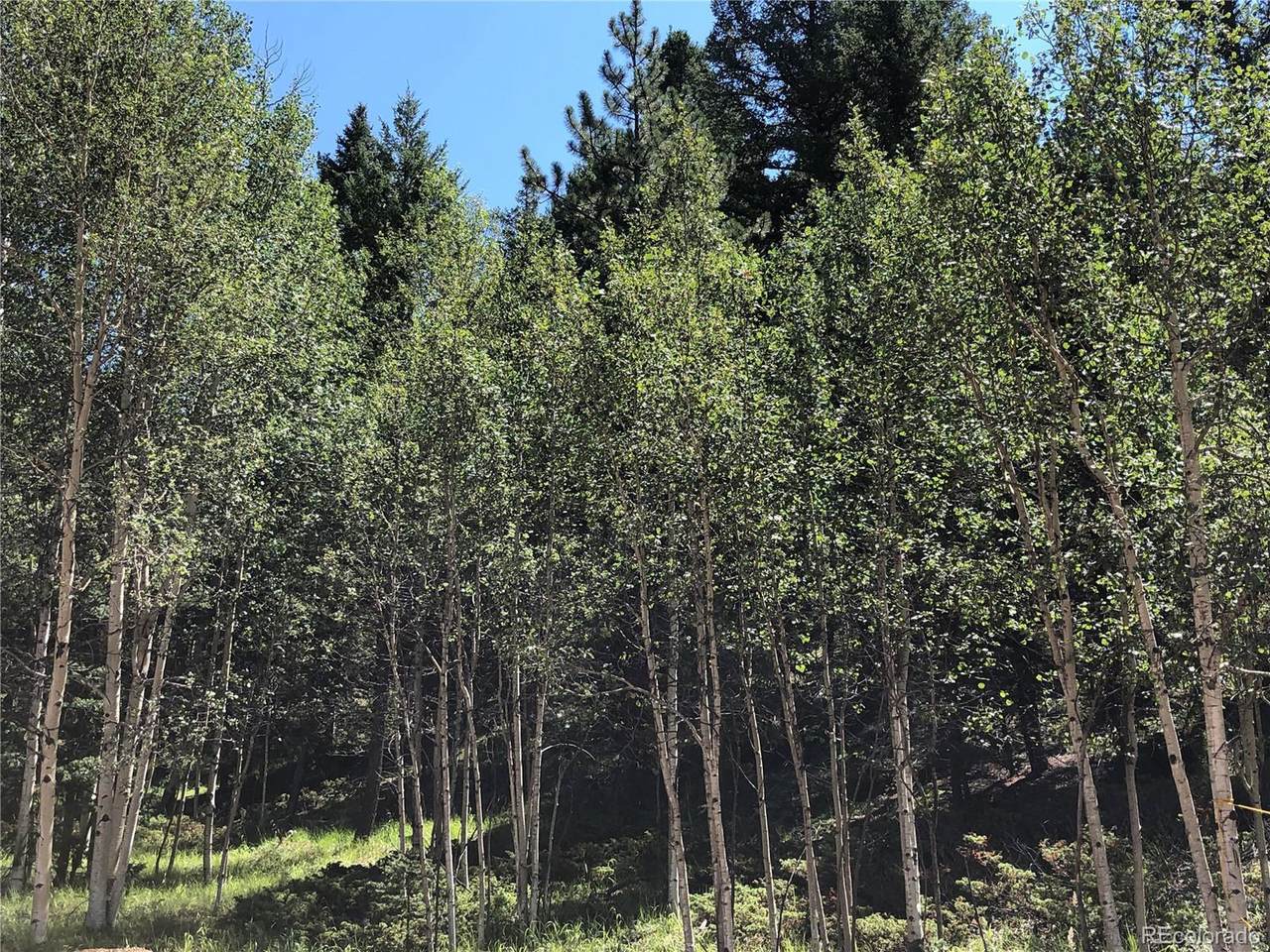 3015 Mountain Estates Rd - Photo 1