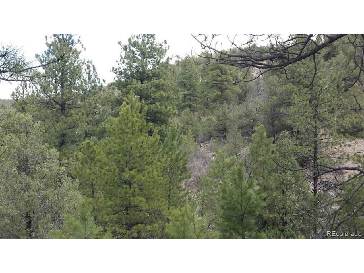 176 Arnold Dr - Photo 1