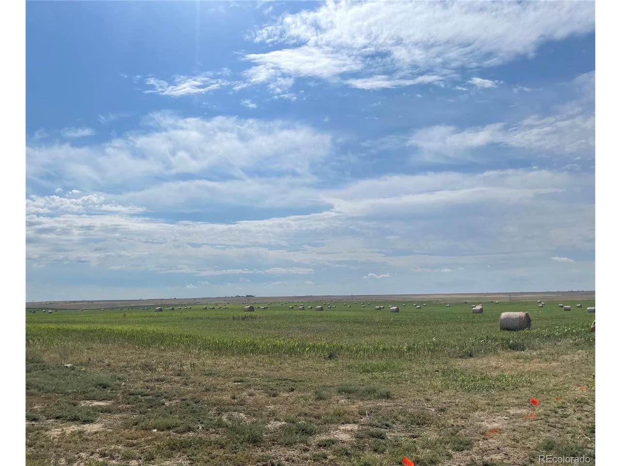 31 Coyote Trail - Photo 1
