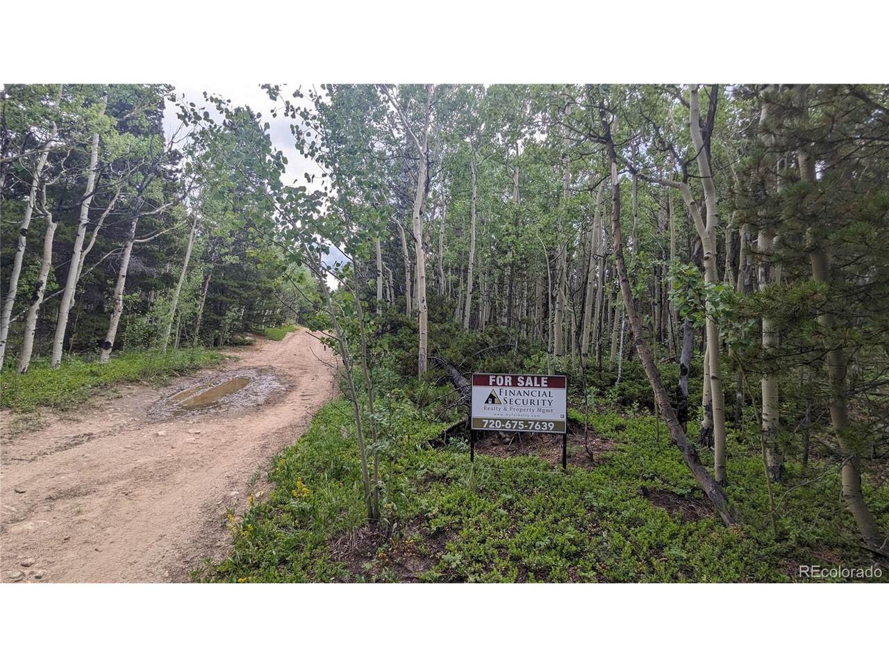 Roy Smith Rd - Photo 1