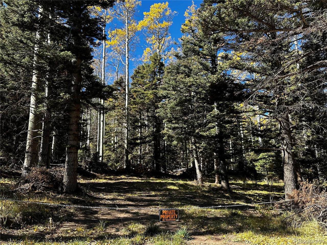 3076 Henderson Dr - Photo 1