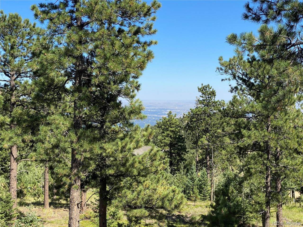156 Big Bear - Photo 1