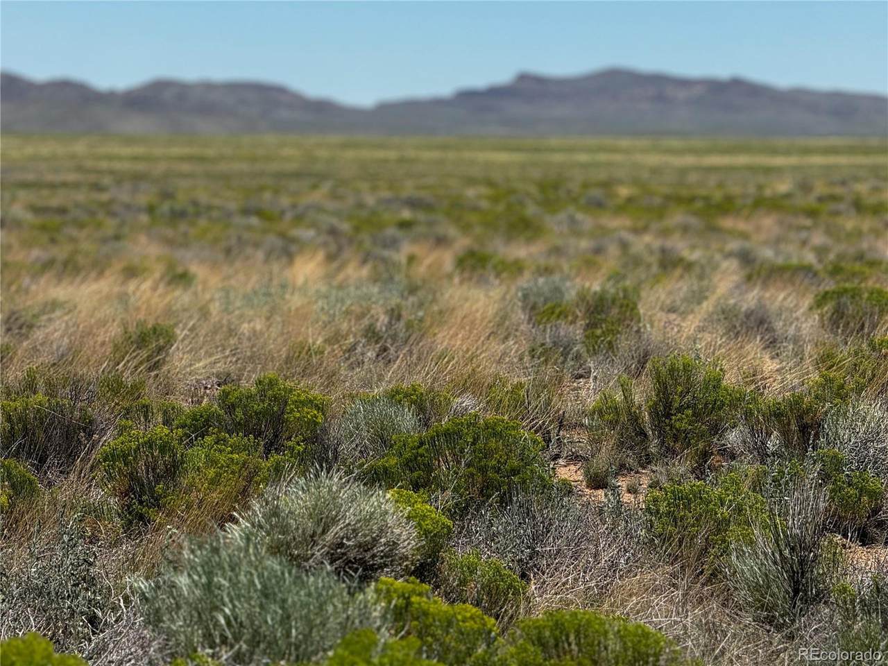 33 Gordon Rd - Photo 1