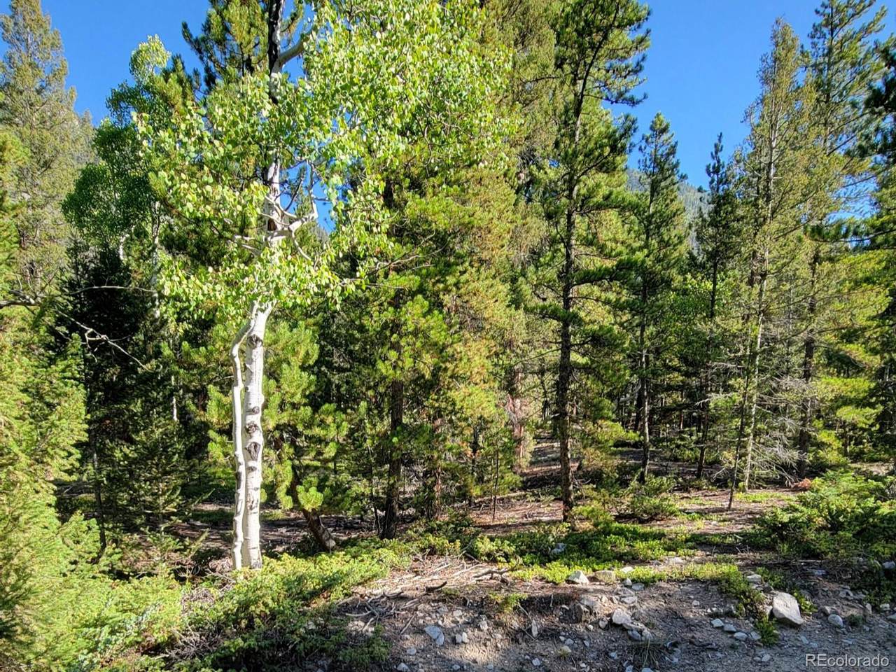 https://bt-photos.global.ssl.fastly.net/ires/1280_boomver_1_401750003-2.jpg