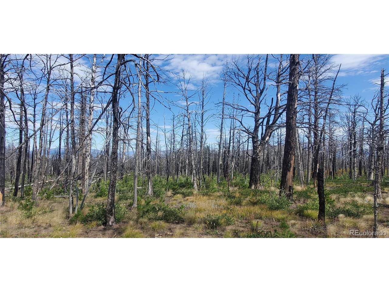 2298 Sigler Dr - Photo 1