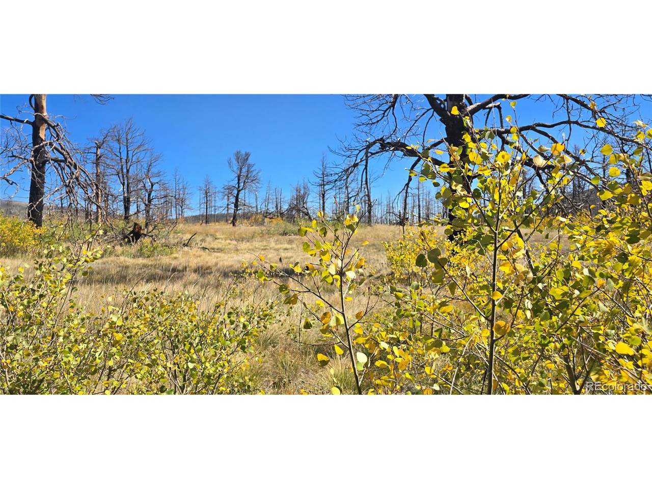 1684 Emery Loop - Photo 1