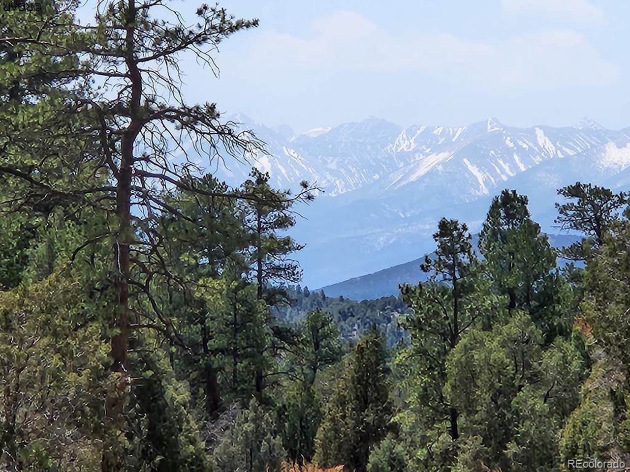 1314 Arnold Dr - Photo 1