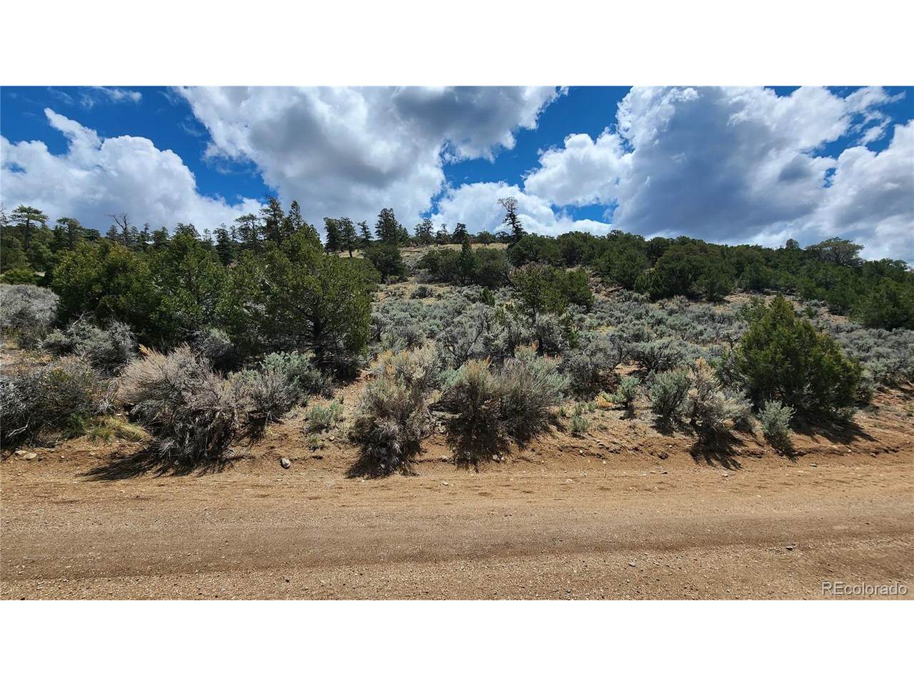 7430 Waligunda Rd - Photo 1