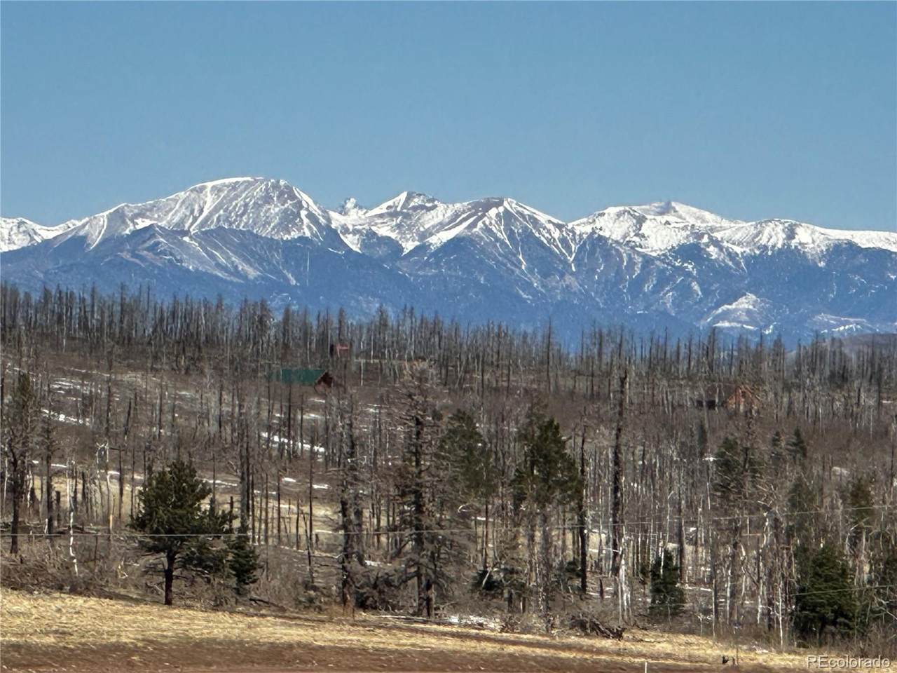 2332 Hayden Ln - Photo 1