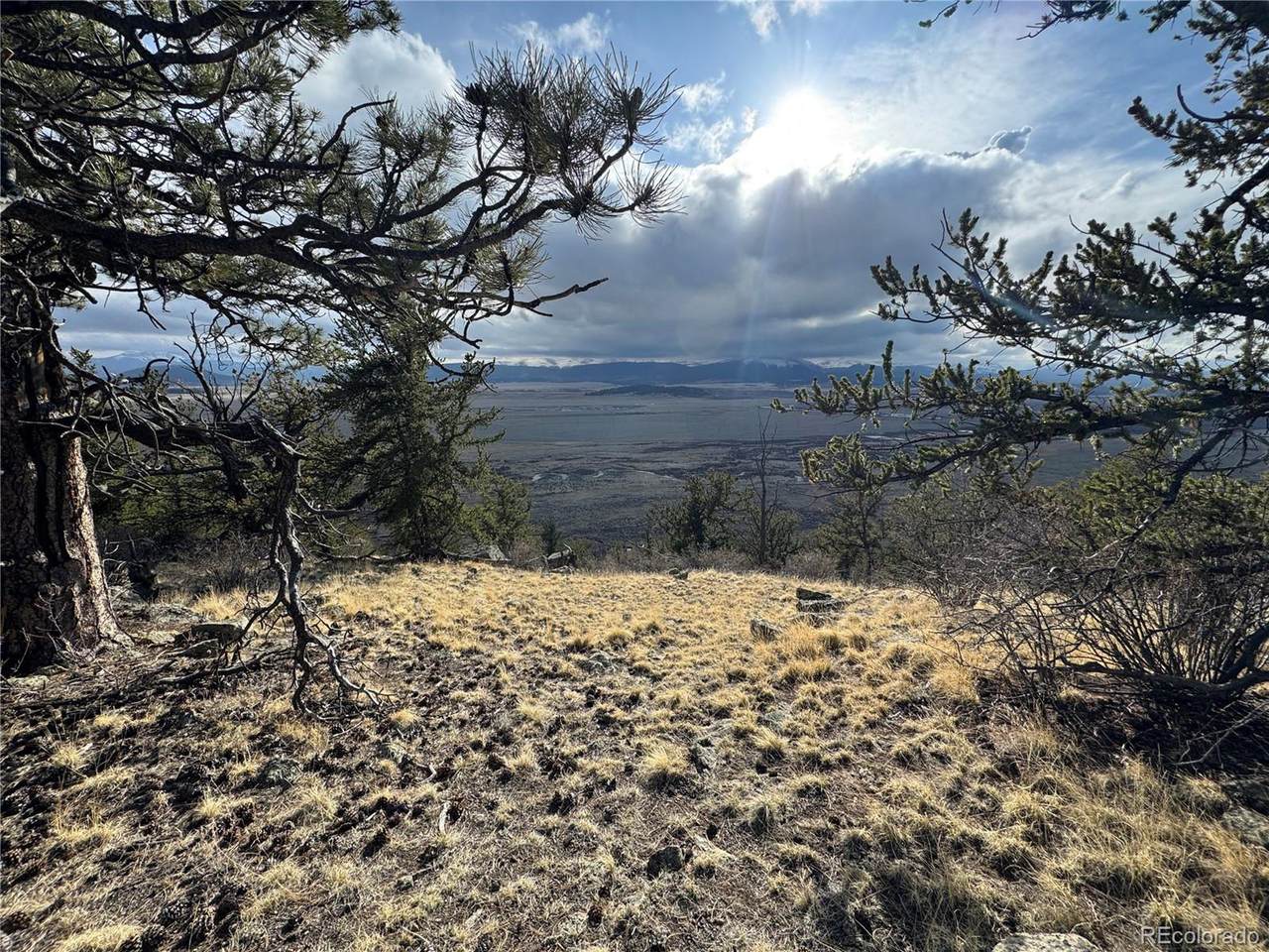 4513 Middle Fork Vis - Photo 1