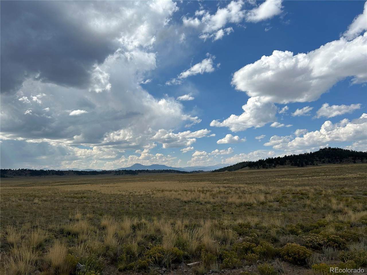 10055 County Road 53 - Photo 1