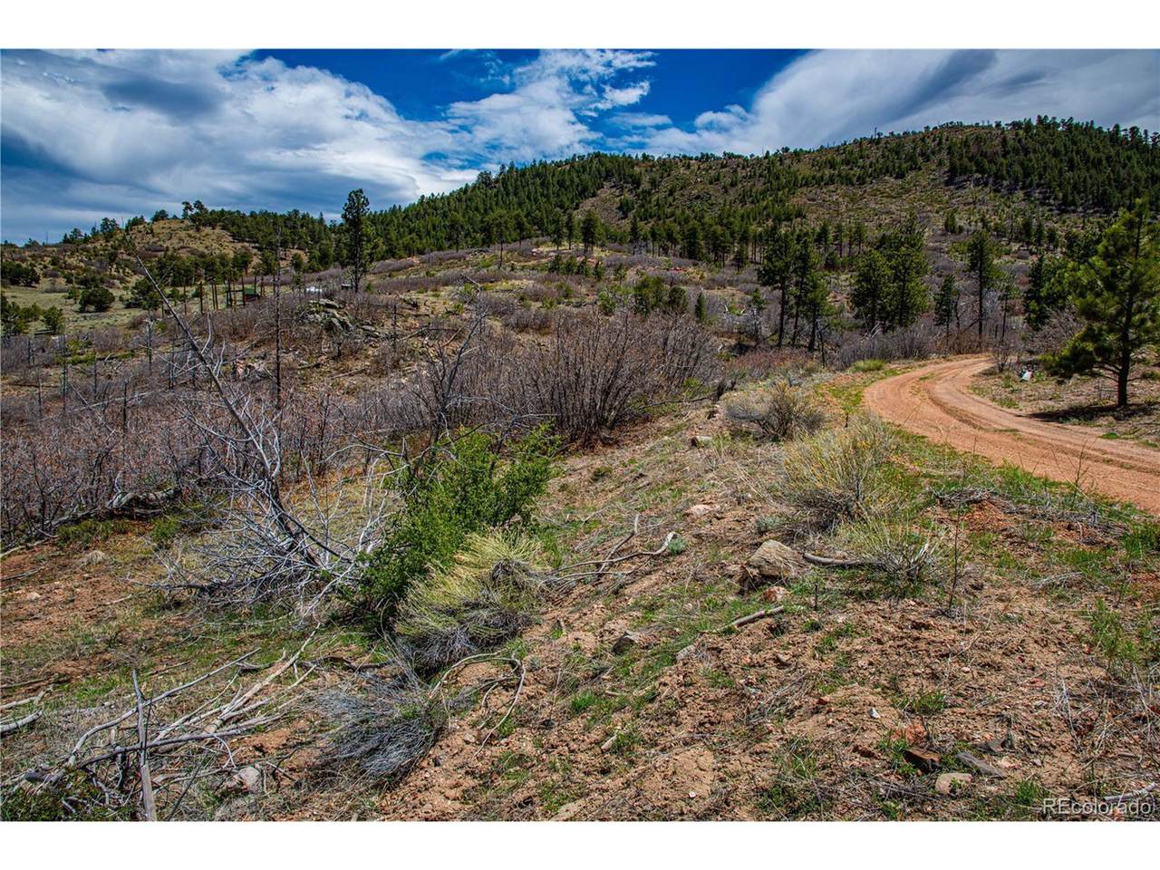 221 Cottonwood Dr - Photo 1