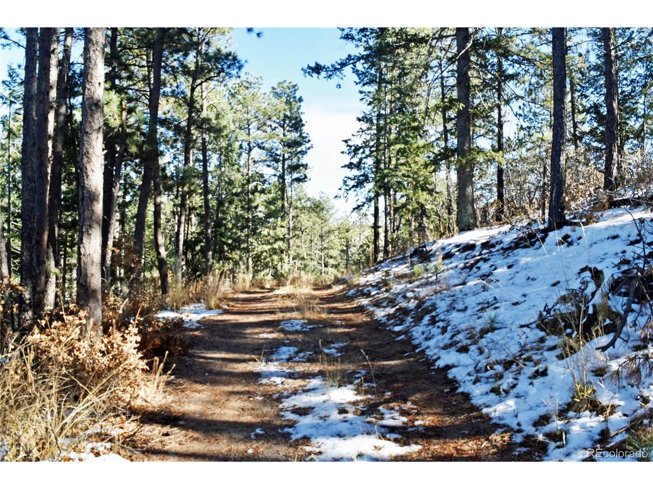 12778 Greenland Acres Rd - Photo 1