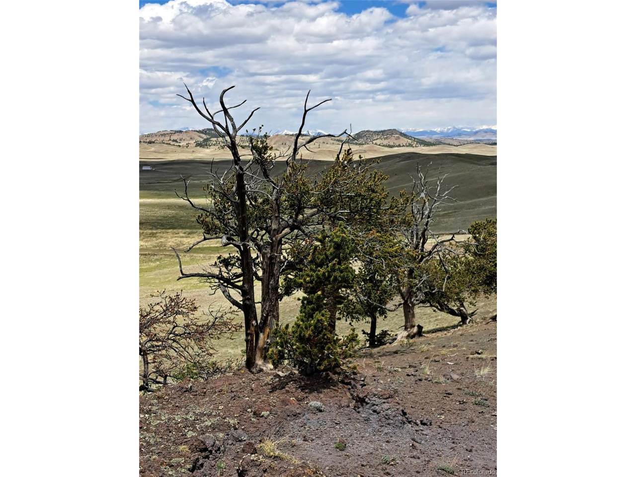 5250 Uxta Trl - Photo 1