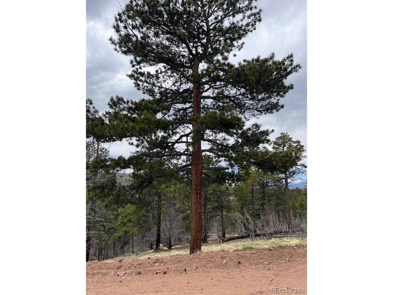 513 Leslie Loop - Photo 1