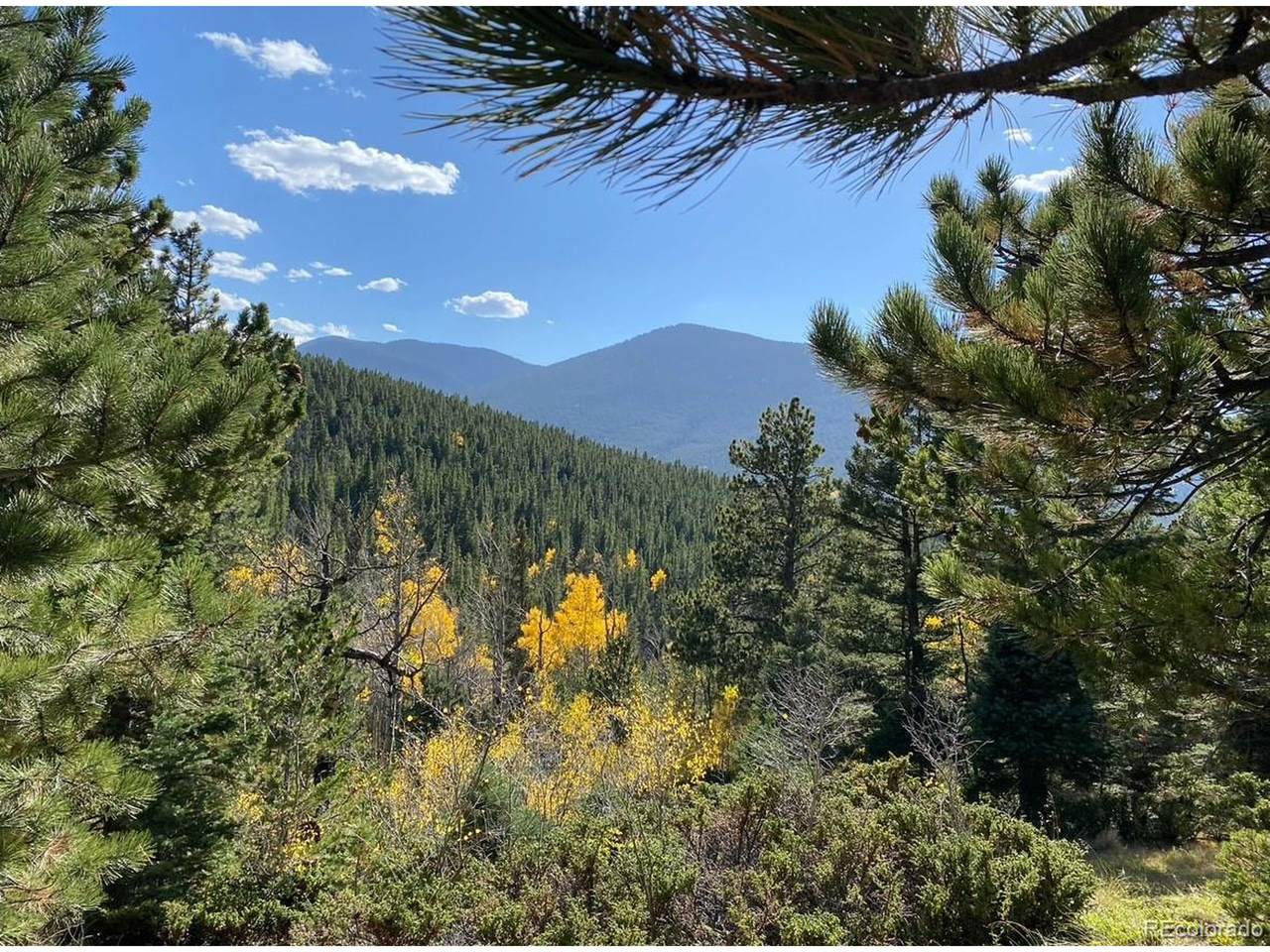 2700 Purnell Ln - Photo 1