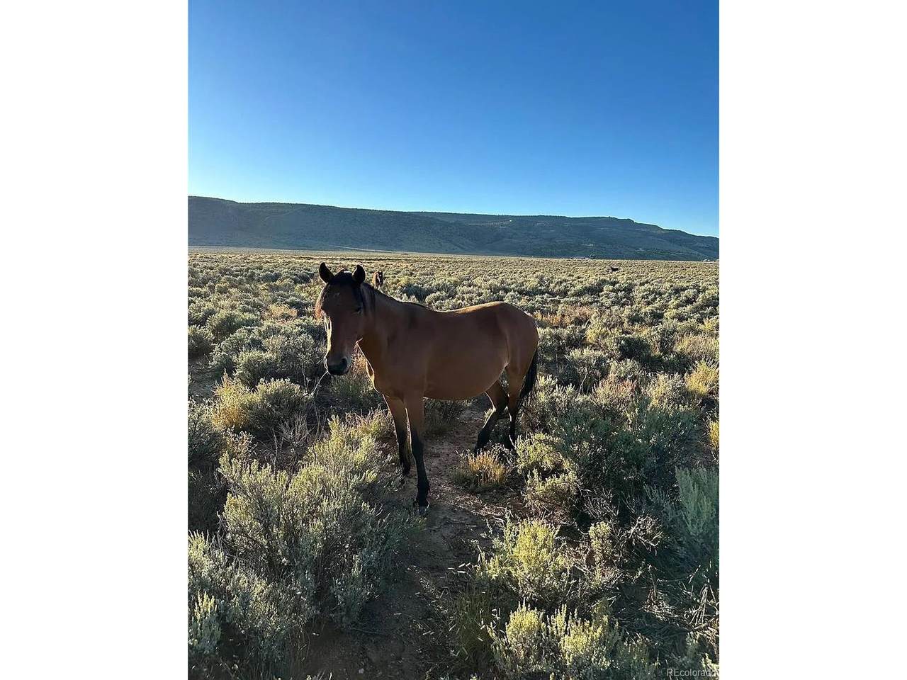 333 Valley Drive - Photo 1