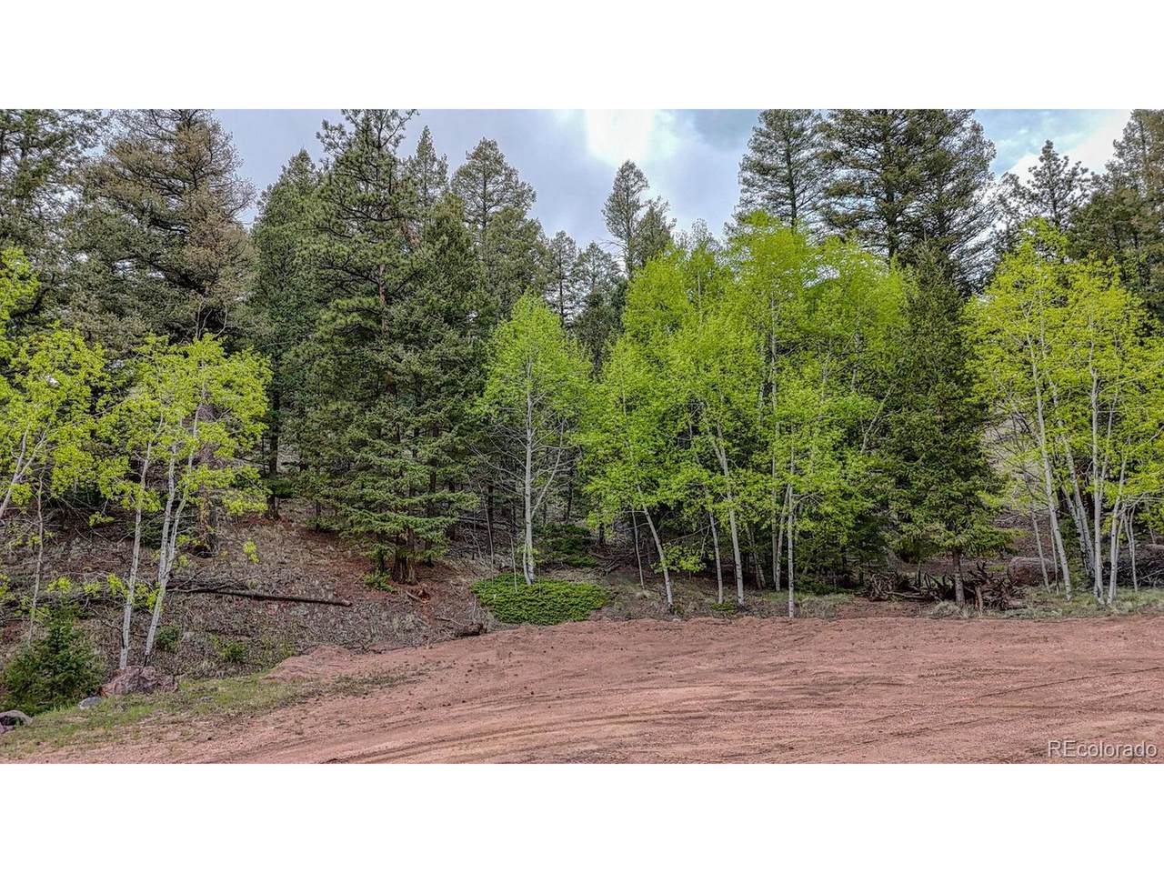 918 Pinon Ln - Photo 1