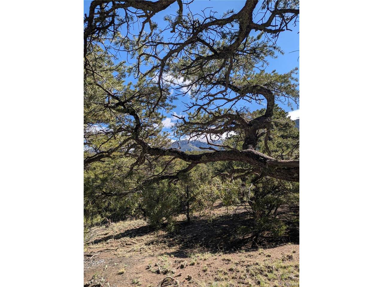 1814 Lobo Pt - Photo 1