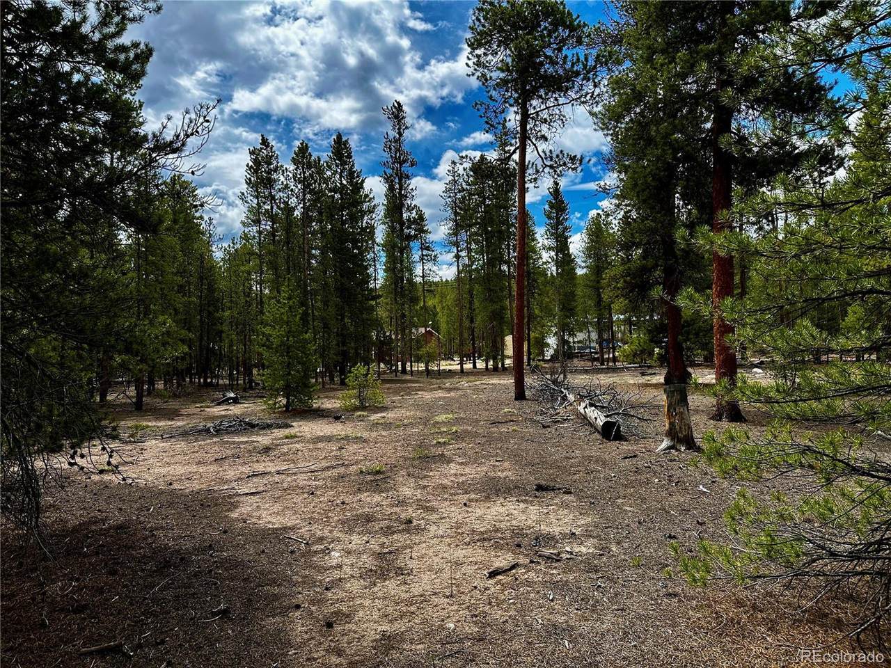 644 Birch Dr - Photo 1