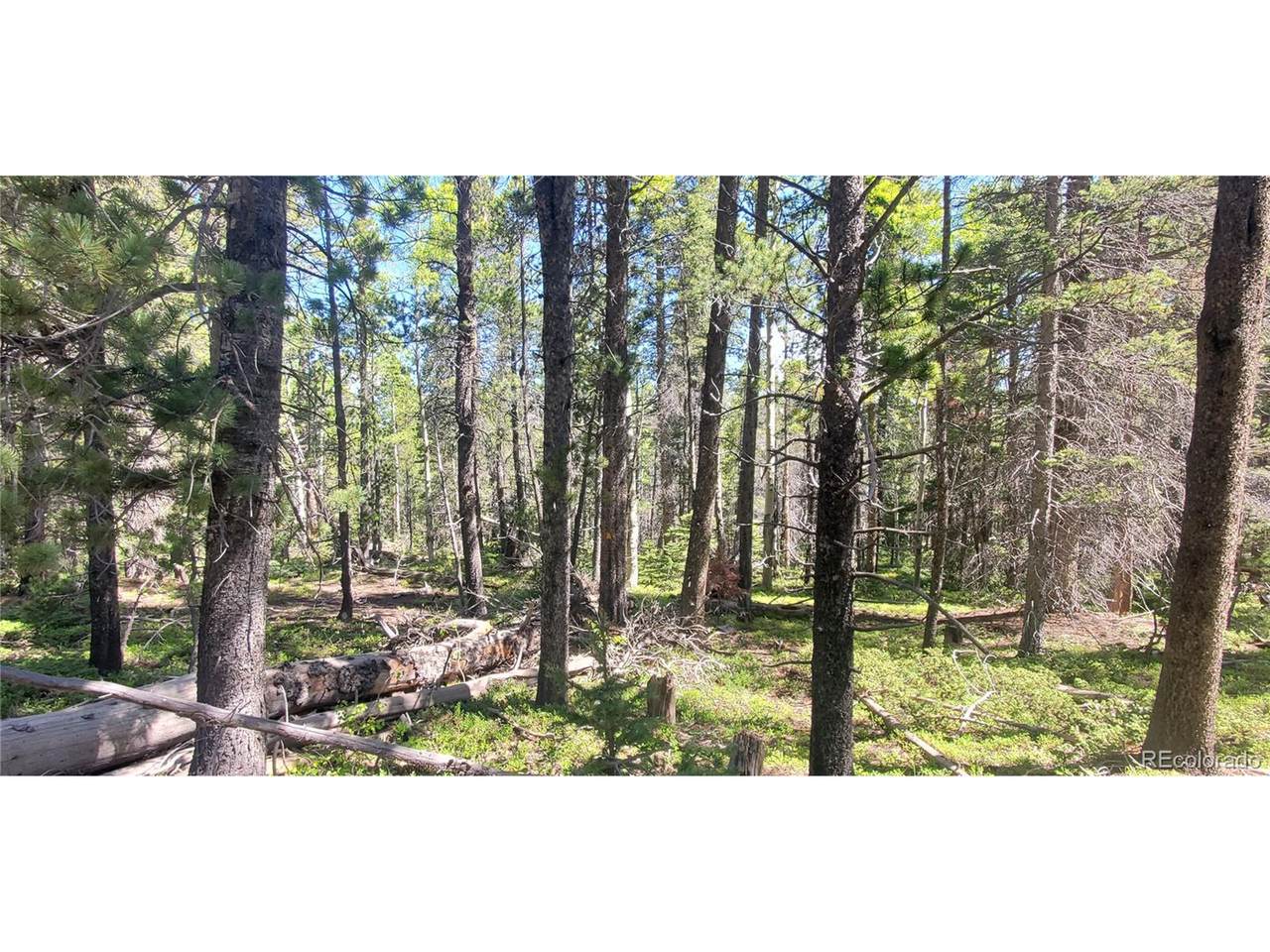 2914 Forbes Loop - Photo 1