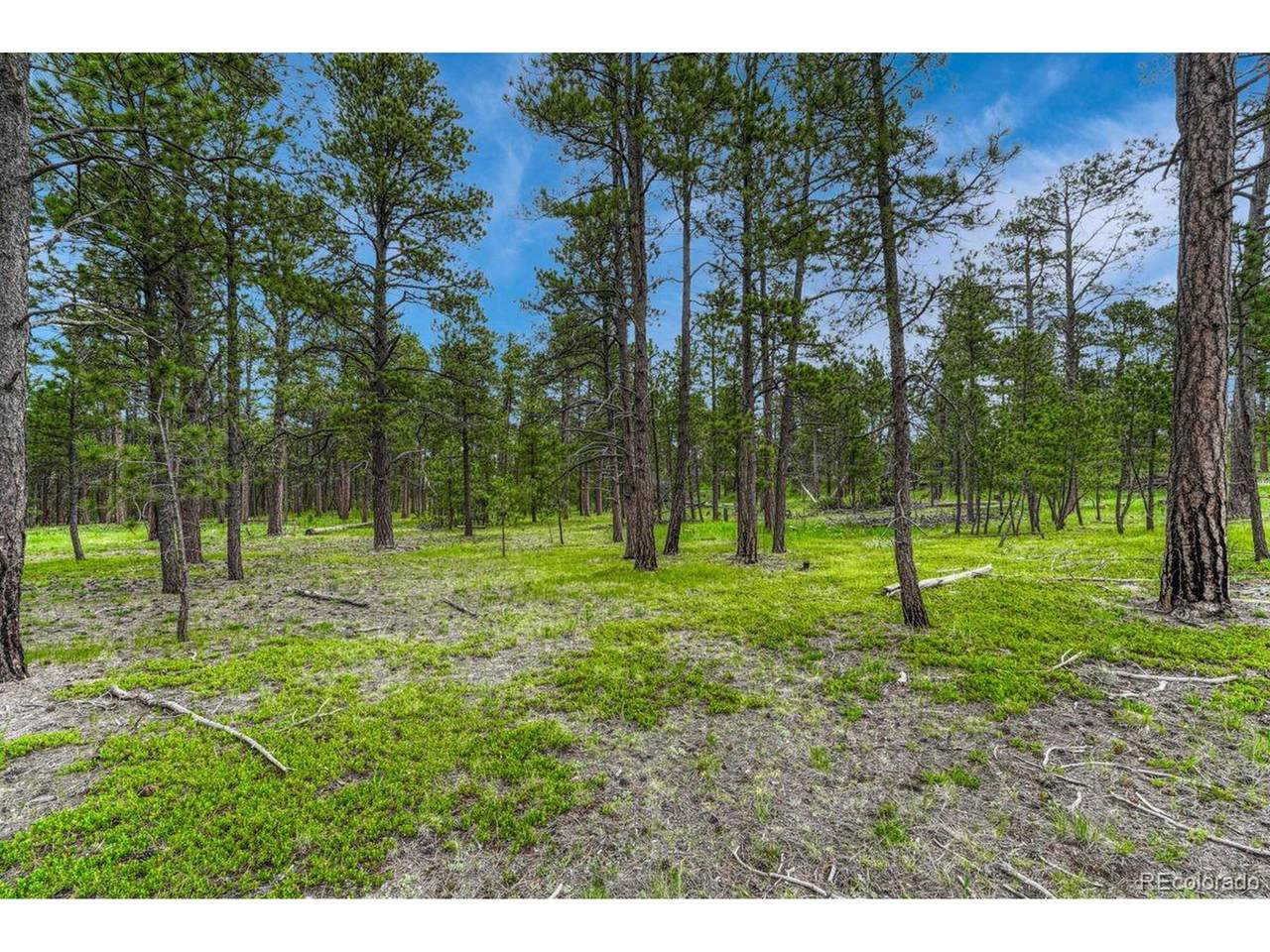 0 Wyandott Dr - Photo 1