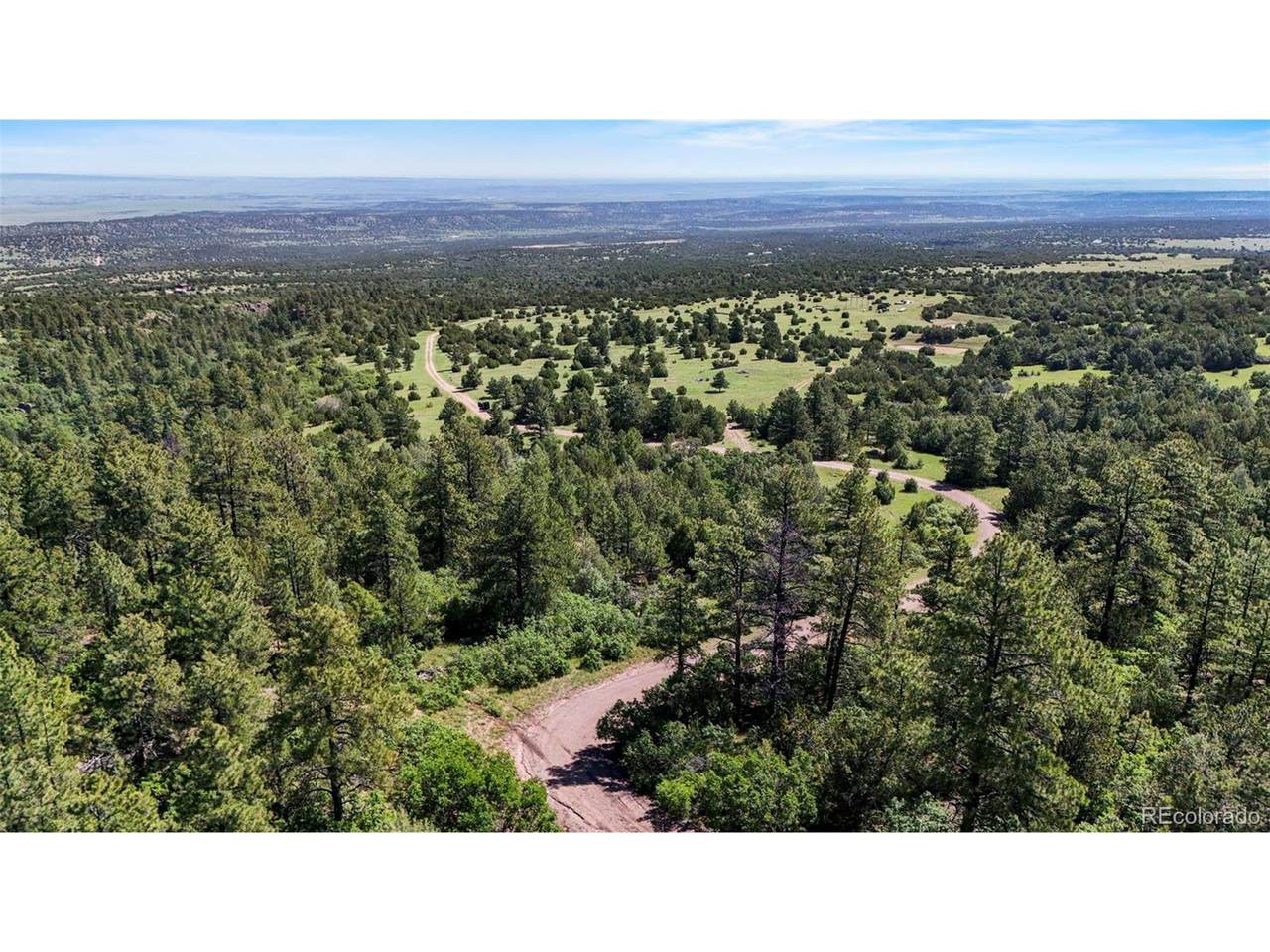  Old Homestead Ln - Photo 1