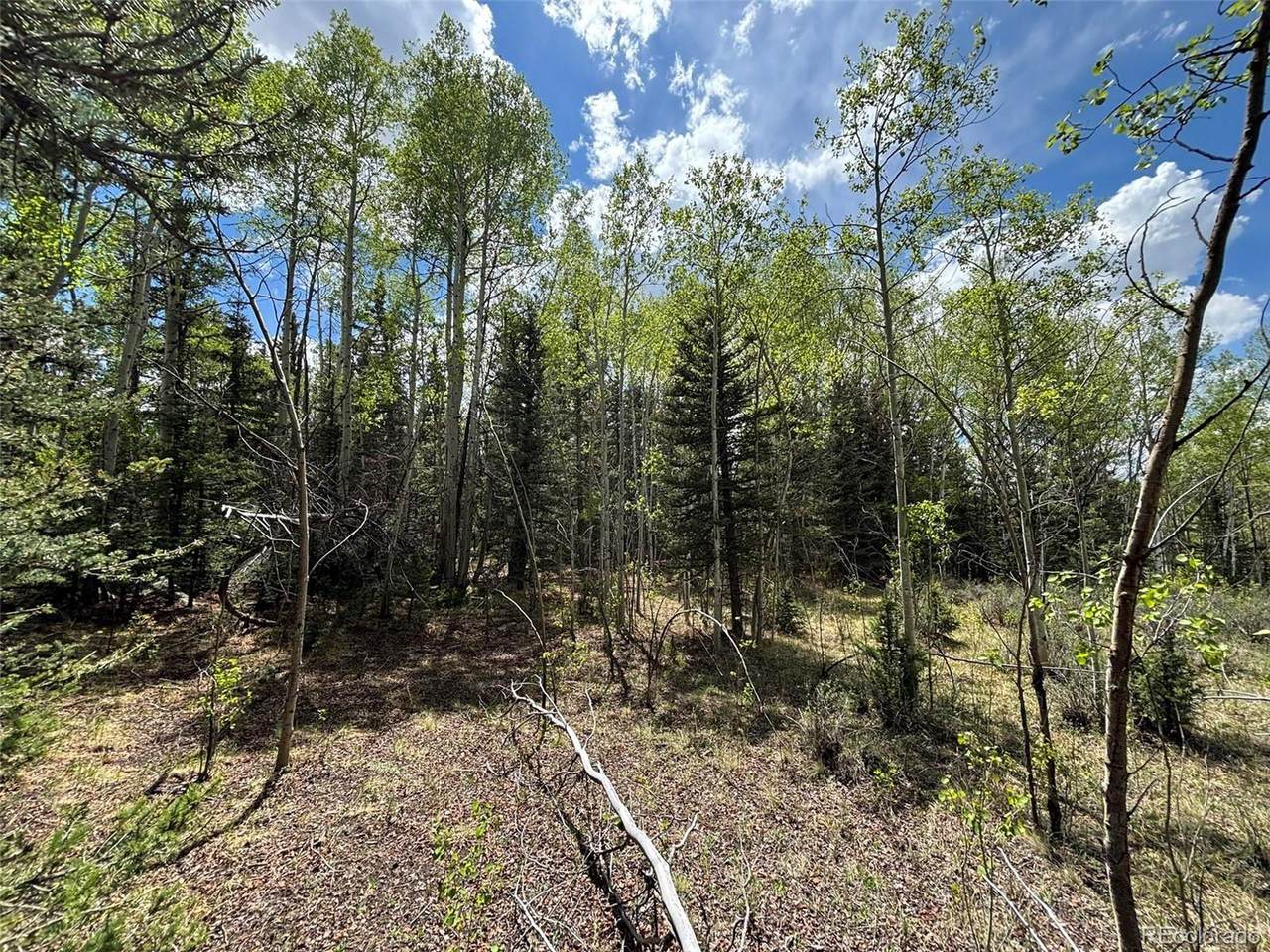 113 Ithaca Ln - Photo 1