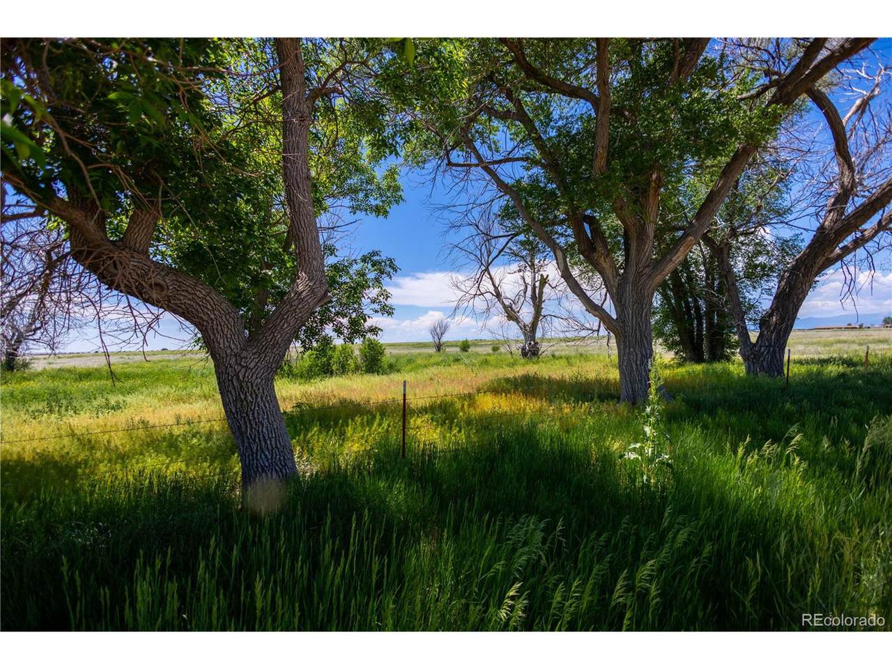 23655 Garrett Rd - Photo 1