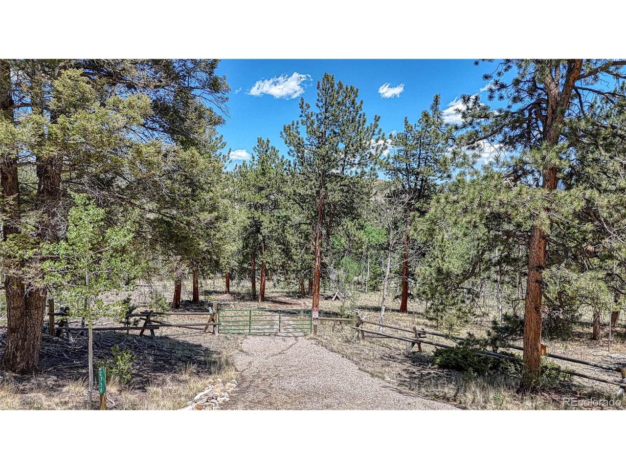 2338 Fitzsimmons Rd - Photo 1