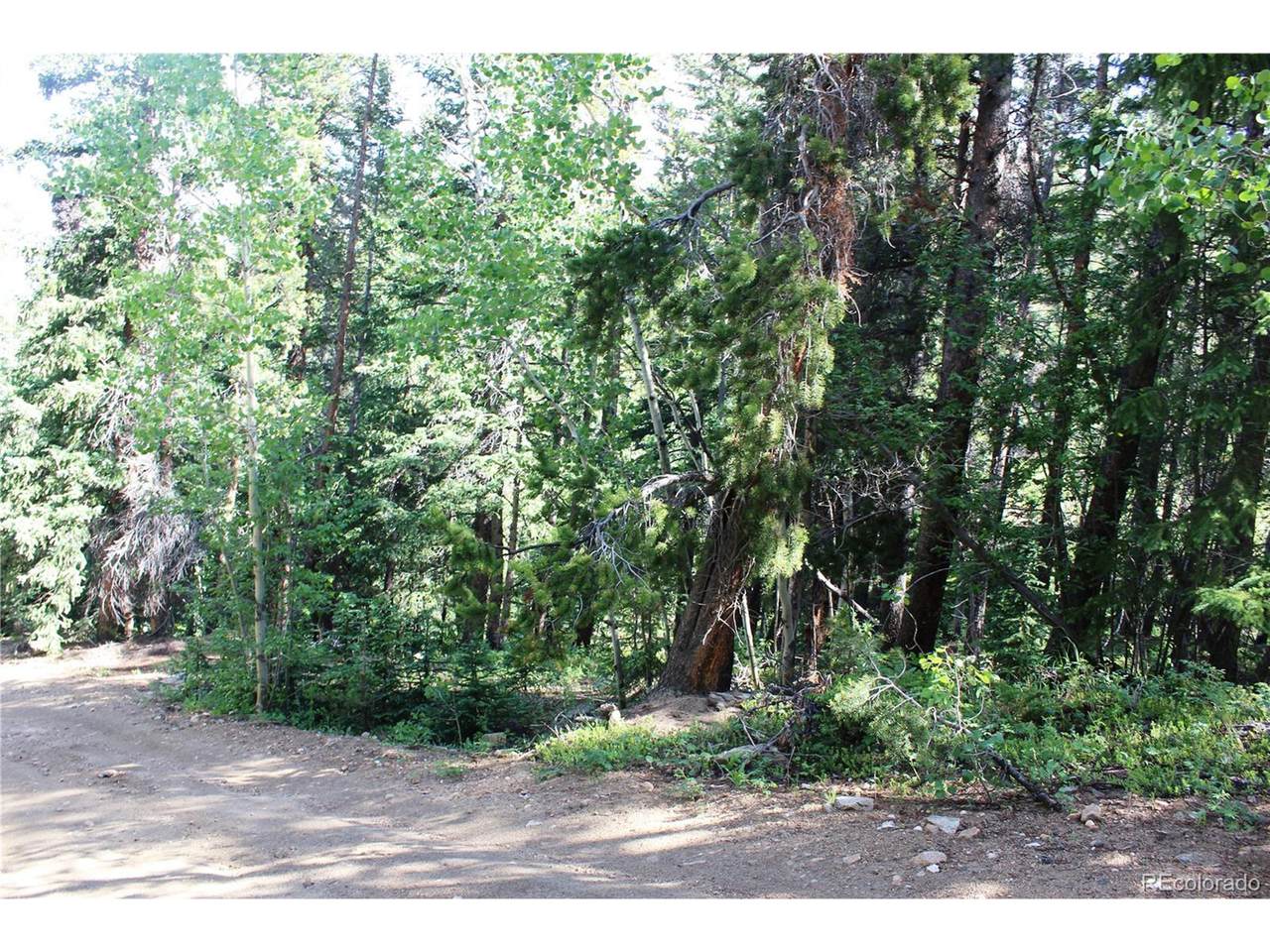 0 Sunflower Rd - Photo 1