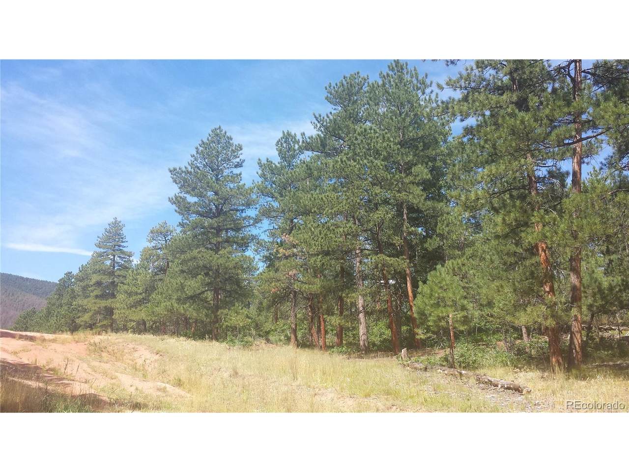 4467 Delaware Dr - Photo 1