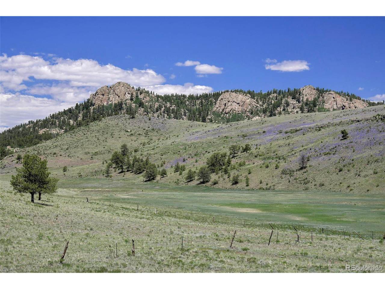 294 Wrights Ln - Photo 1