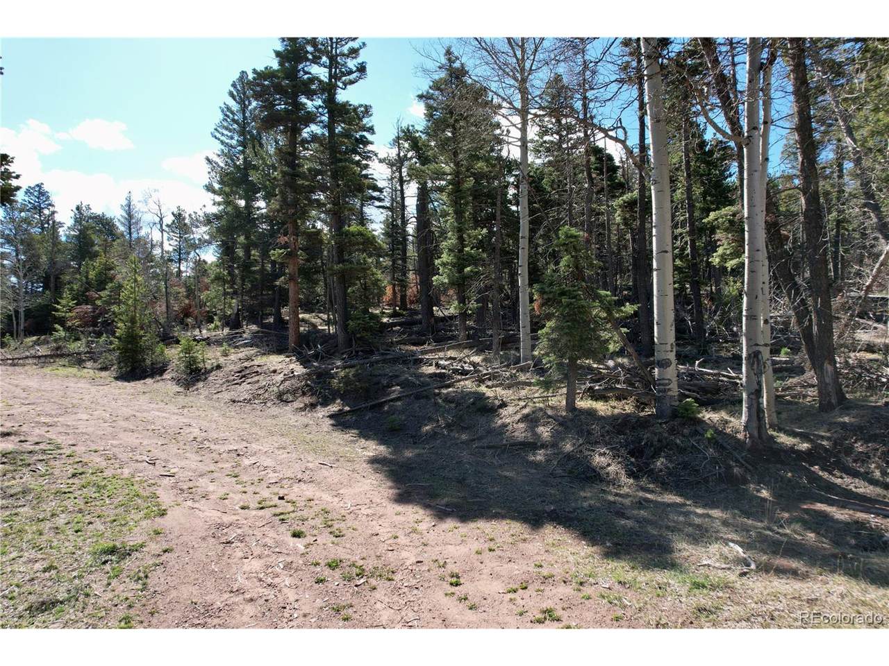 2966 Kemper Loop - Photo 1