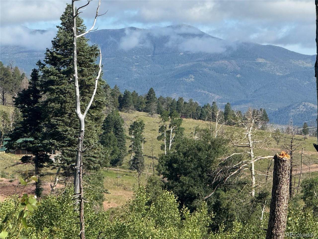 775 Forbes Park Rd - Photo 1