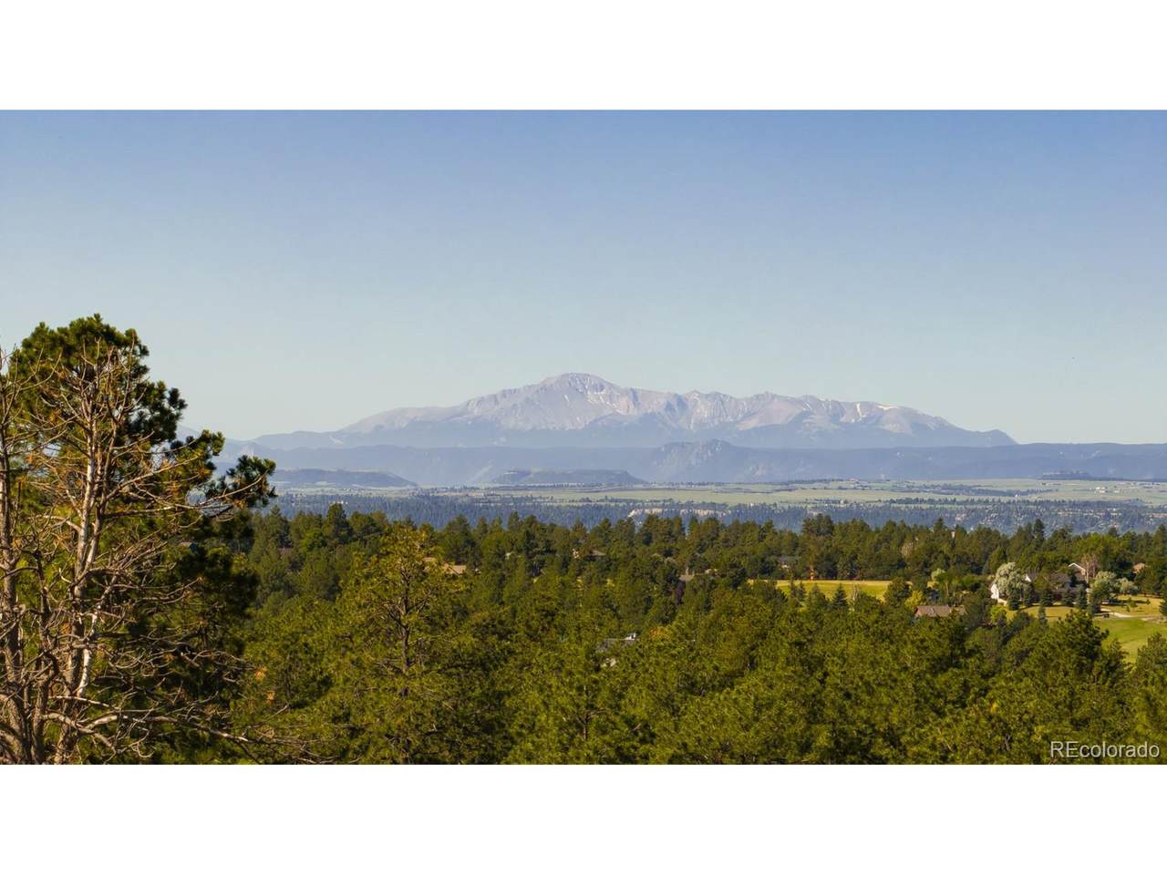 10276 Pine Song Place - Photo 1