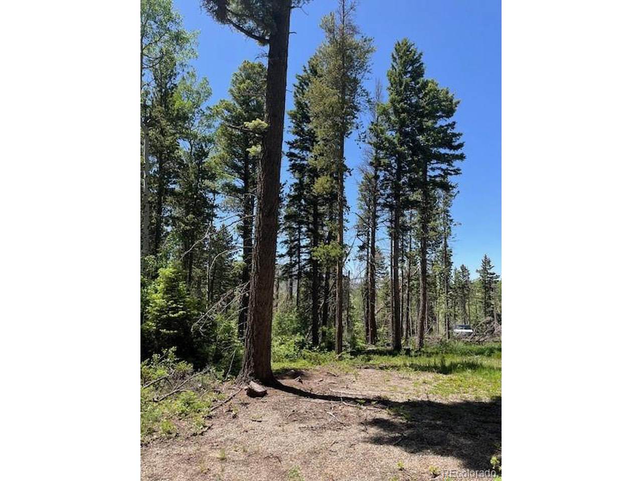 2449 Petito Dr - Photo 1