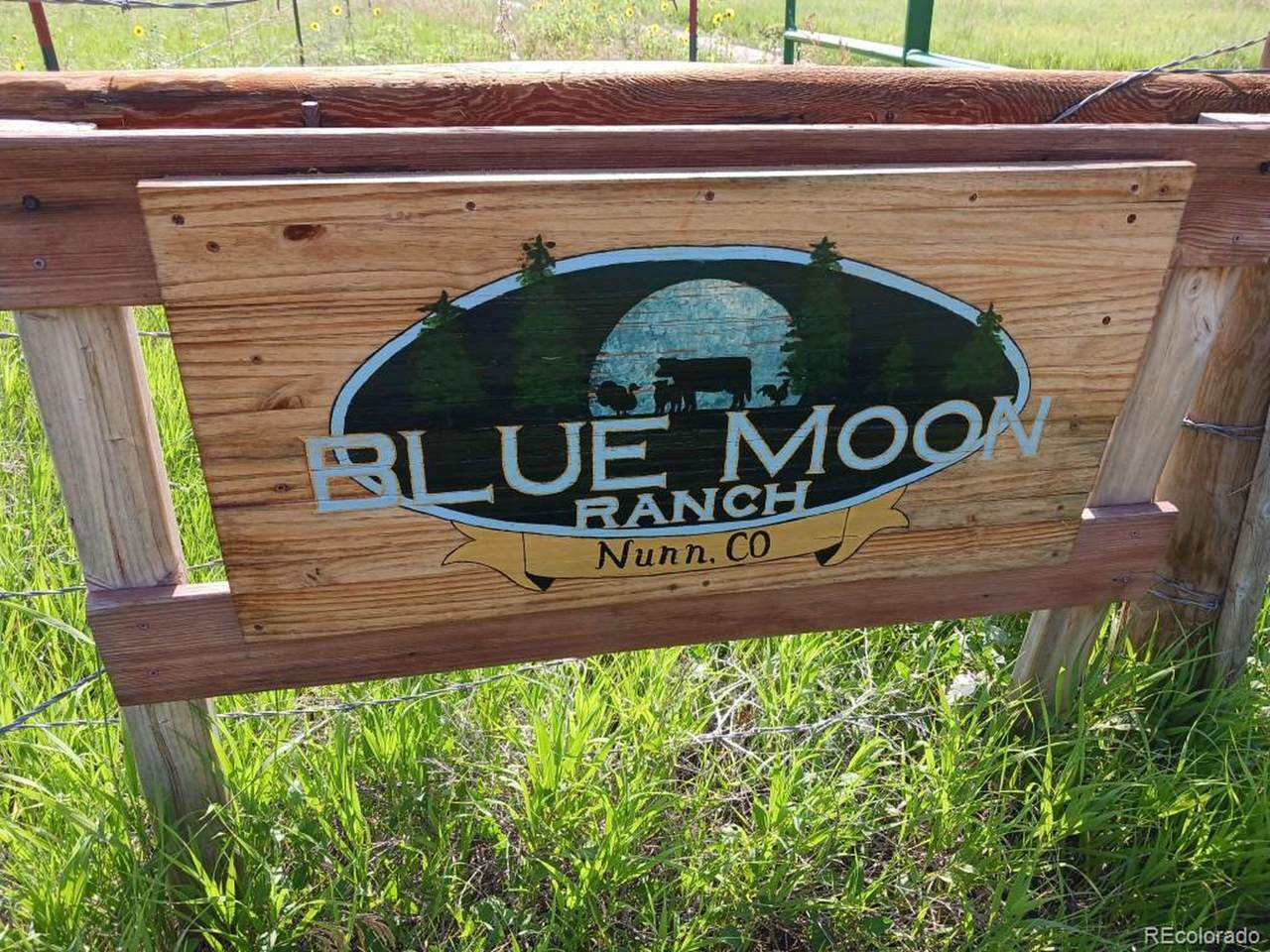  County Rd 21 - Photo 1