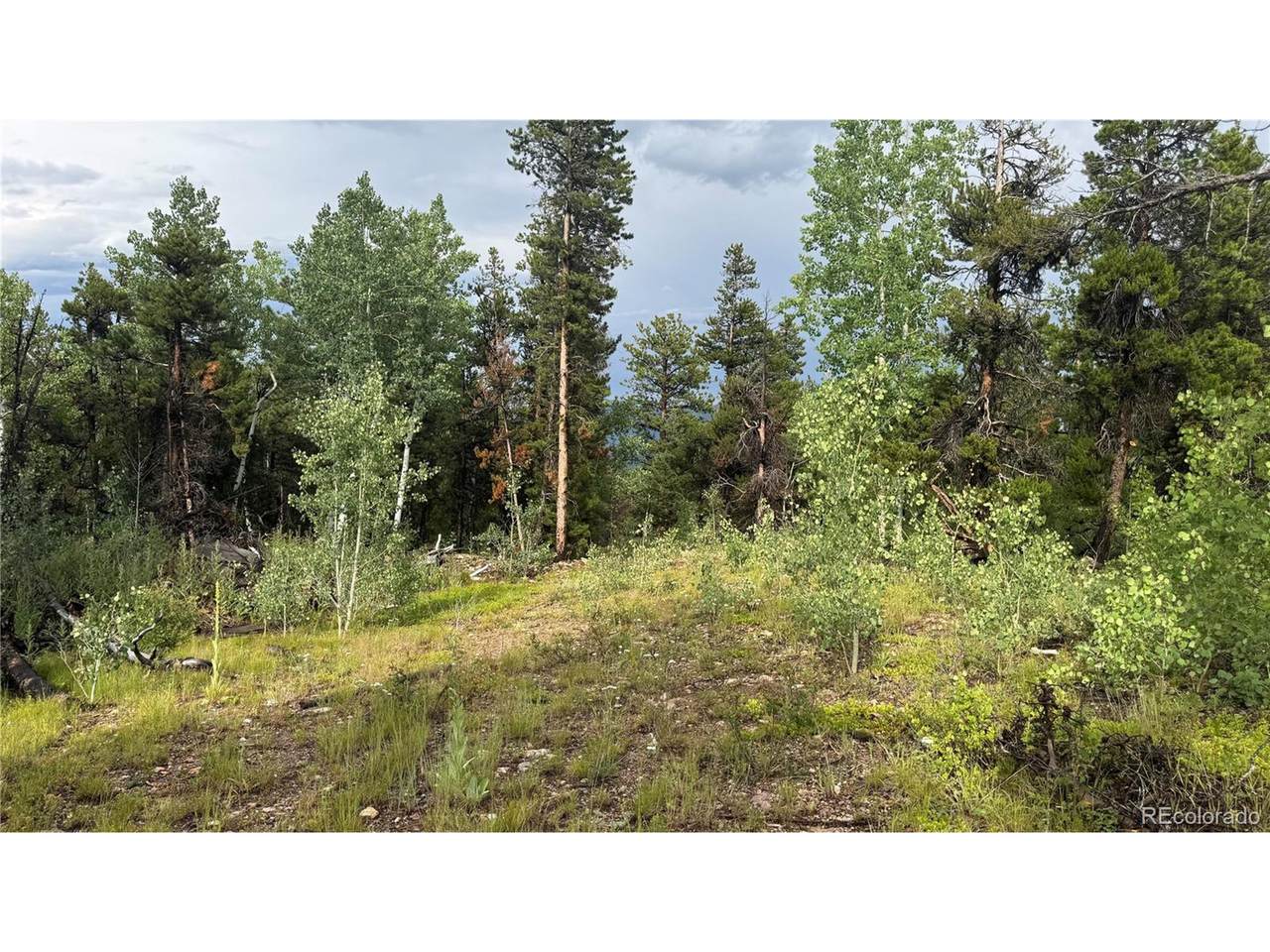 1 Church Placer Rd - Photo 1