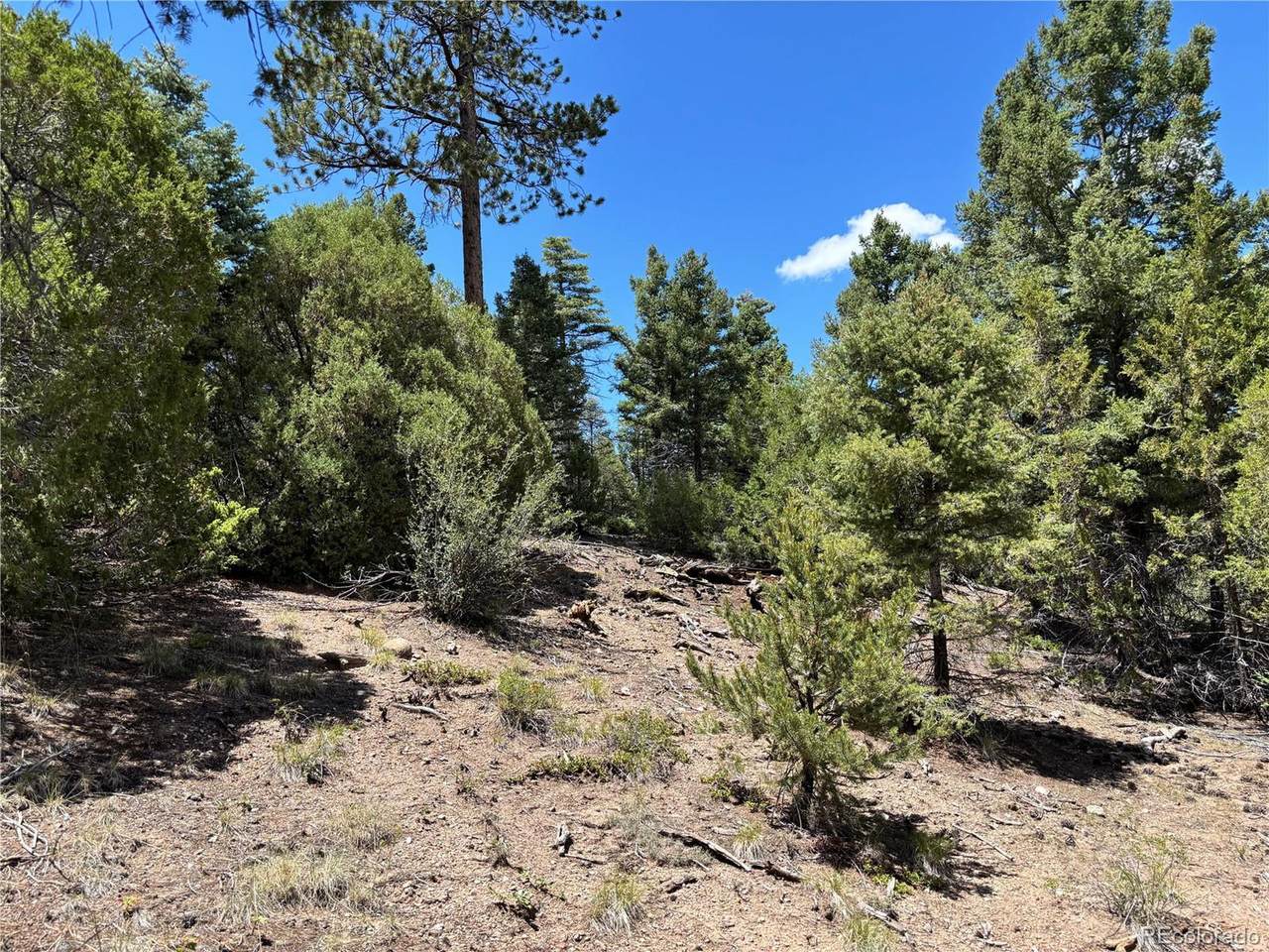 0 Sesame Rd - Photo 1