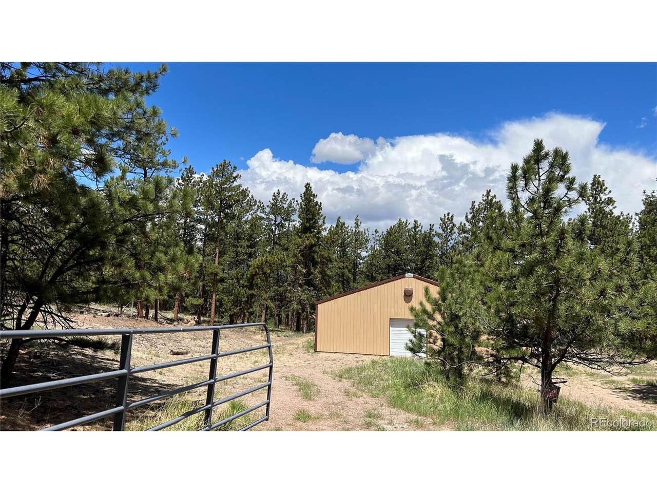 207 Little Bear Dr - Photo 1