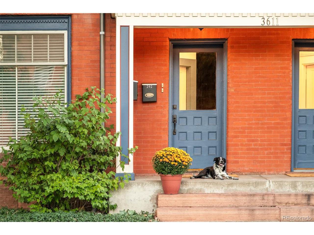 3611 Zuni St - Photo 1