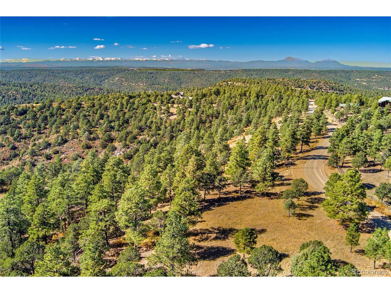 33250 Fox Trail - Photo 1