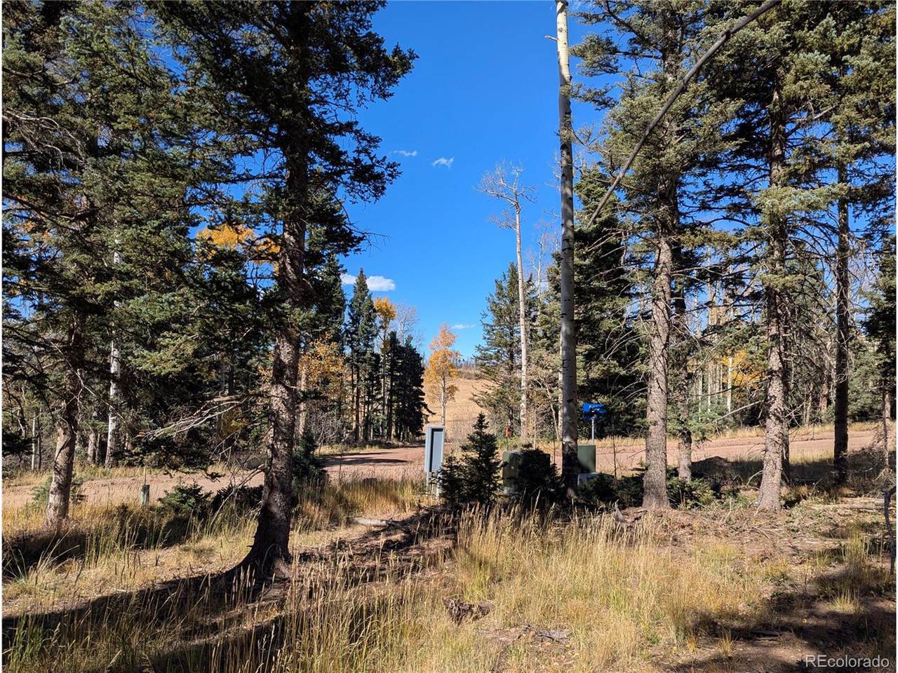 2448 Petito Dr - Photo 1