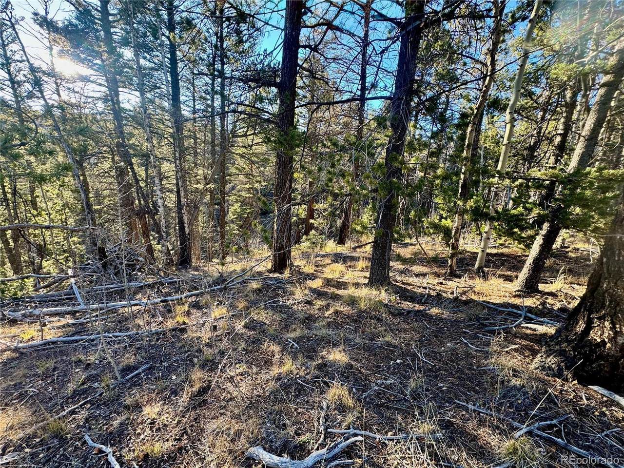 5888 Loubier Rd - Photo 1