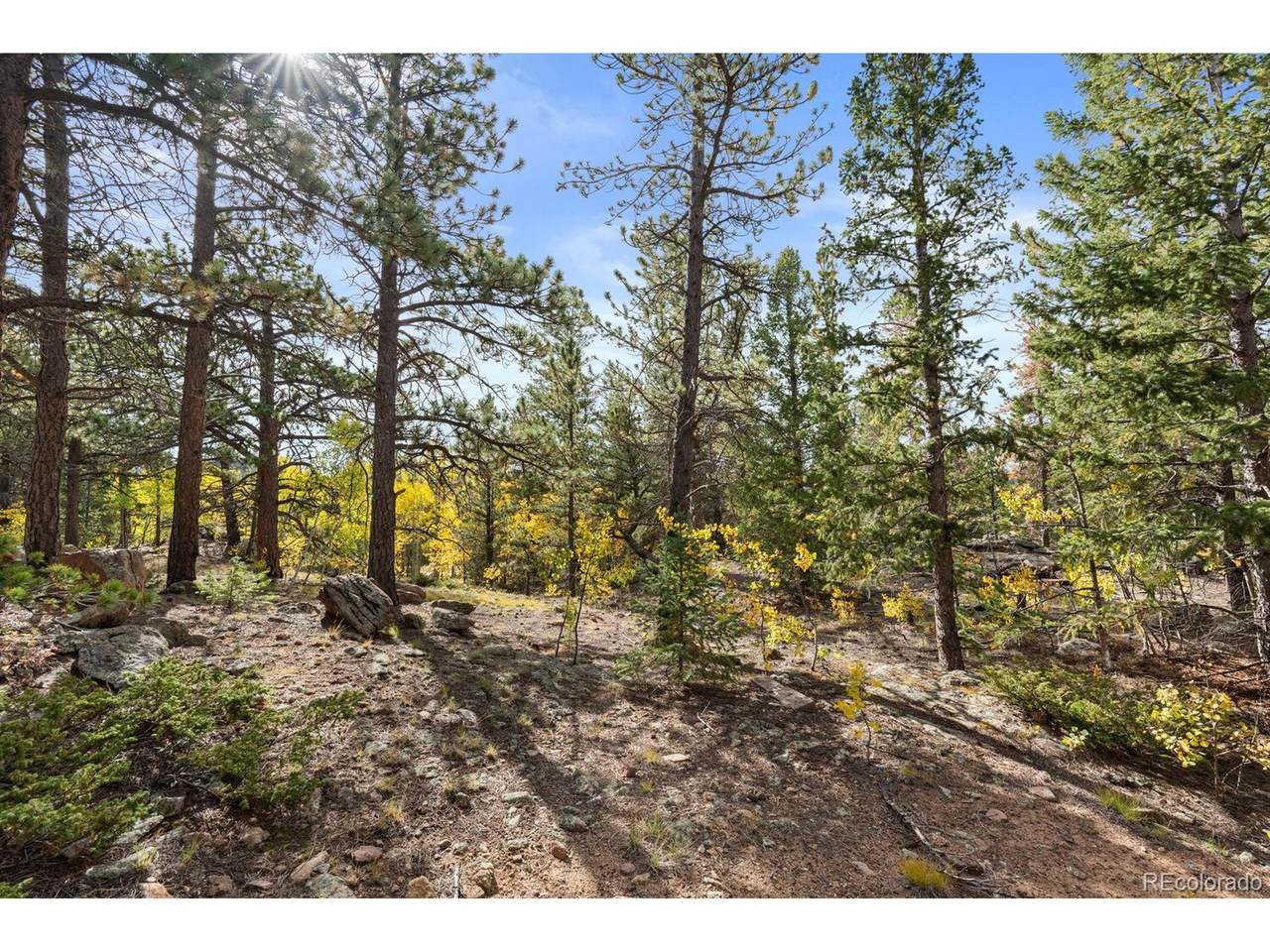  Pinon - Photo 1
