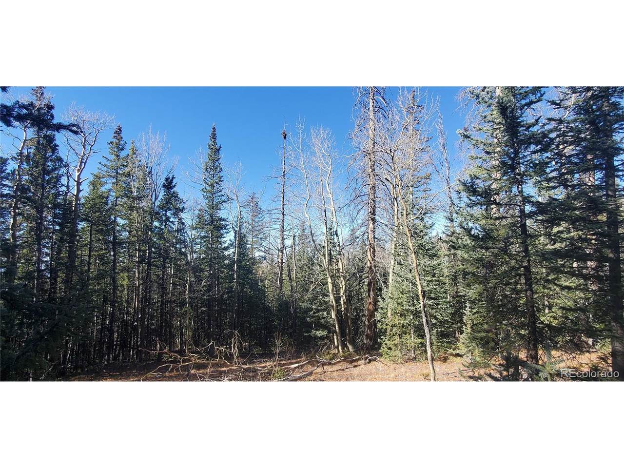 6581 Ackerman Rd - Photo 1